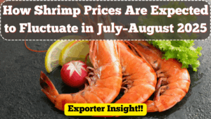 Cold Chain Logistics for Seafood: Why It’s Crucial for Exporters in 2025