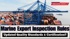 Marine Export Inspection Rules 2025 – Updated Quality Standards & Certification Guide
