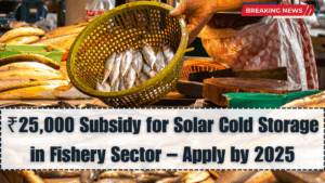 ₹25,000 Subsidy for Solar Cold Storage in Fishery Sector – Apply by 2025