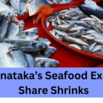 Marine Fish Catch Drops – Karnataka’s Seafood Export Share Shrinks