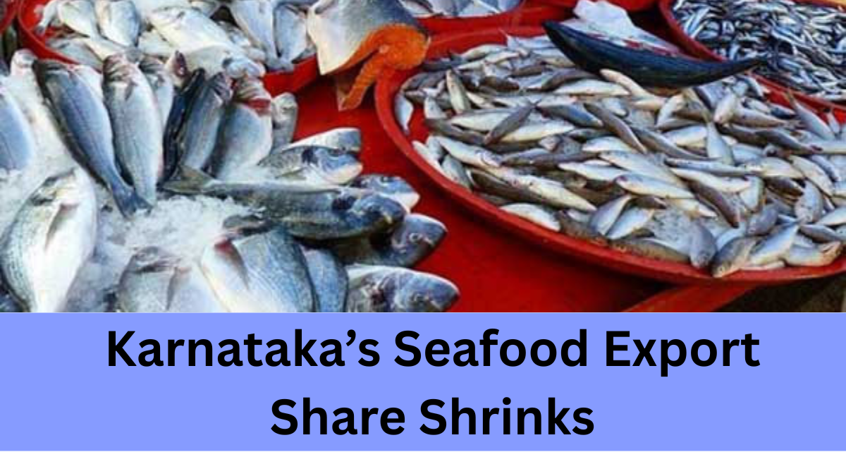 Marine Fish Catch Drops – Karnataka’s Seafood Export Share Shrinks