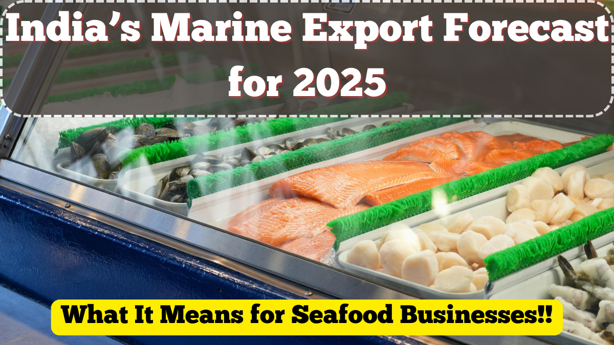 India’s Marine Export Forecast for 2025 – What It Means for Seafood Businesses
