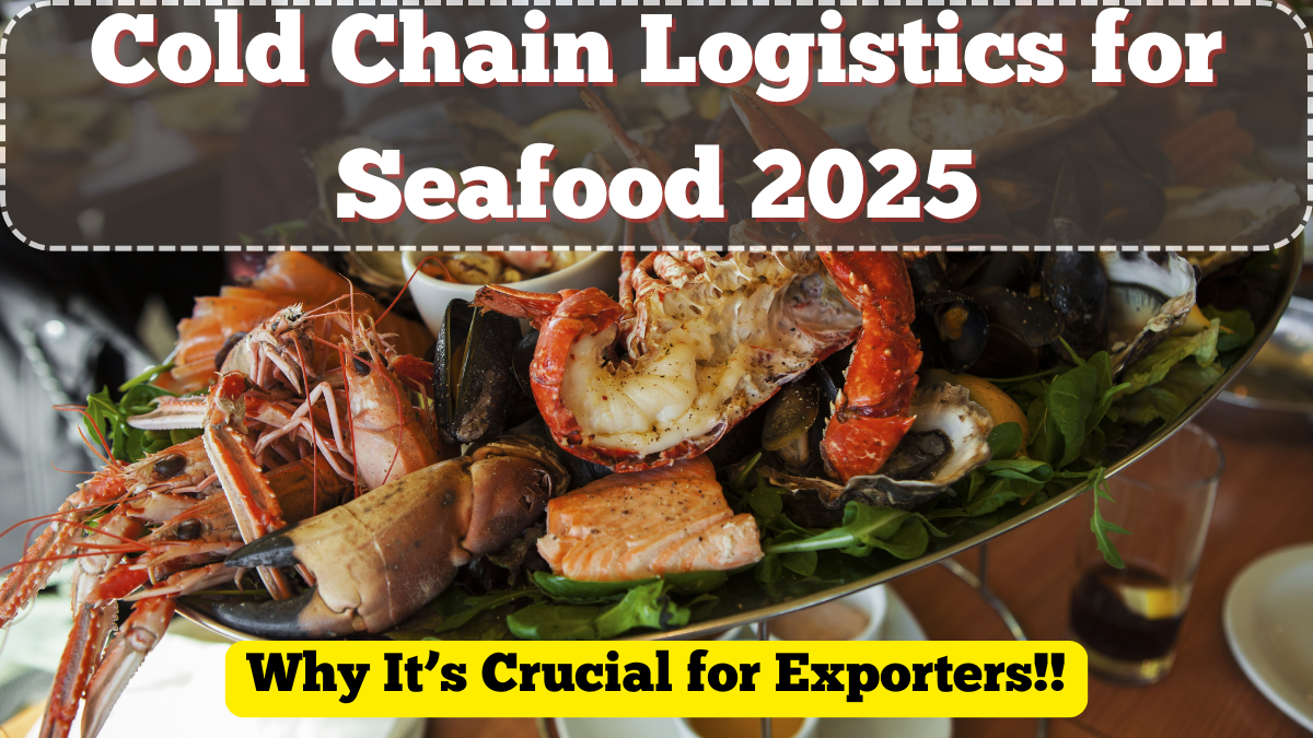Cold Chain Logistics for Seafood: Why It’s Crucial for Exporters in 2025