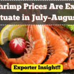 Cold Chain Logistics for Seafood: Why It’s Crucial for Exporters in 2025