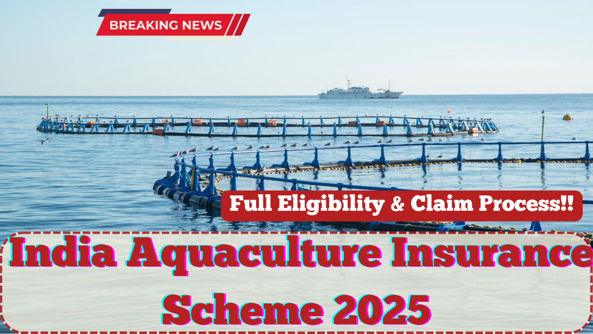 India Aquaculture Insurance Scheme 2025 – Full Eligibility & Claim Process