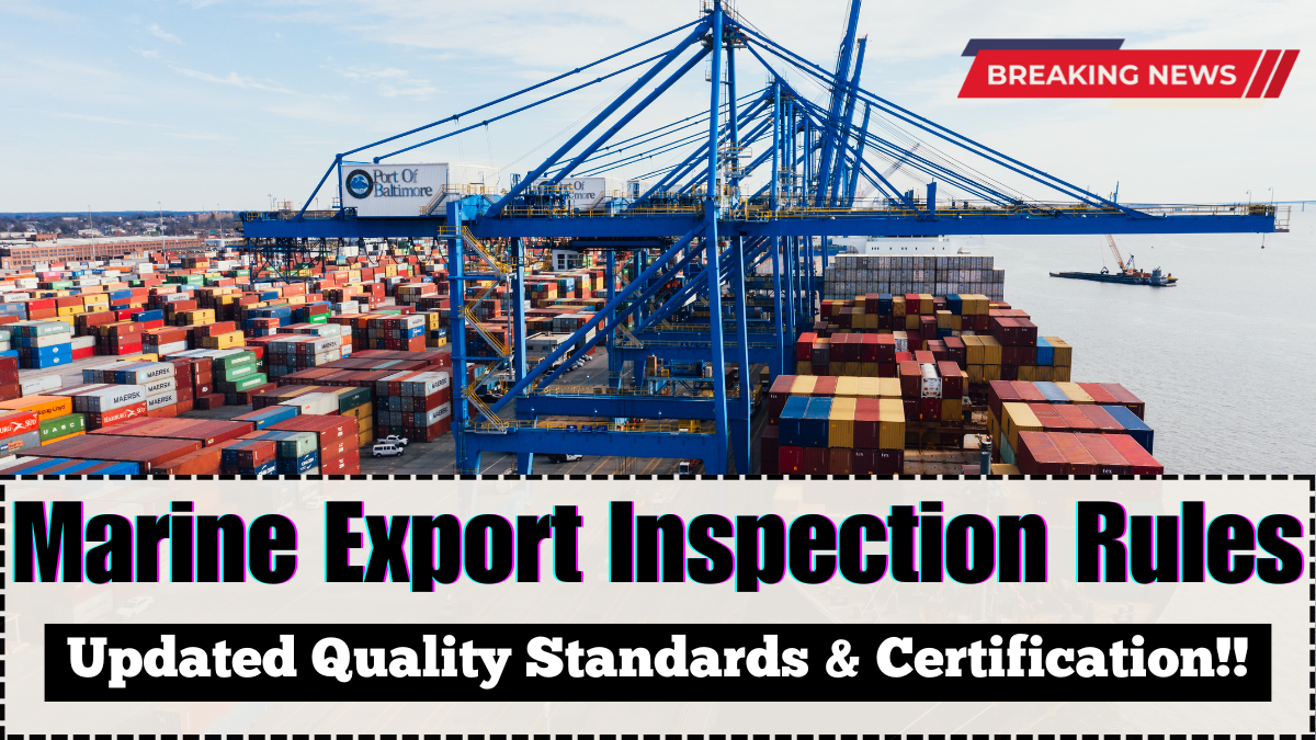 Marine Export Inspection Rules 2025 – Updated Quality Standards & Certification Guide