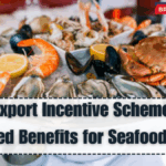 Marine Export Incentive Scheme 2025 – Revised Benefits for Seafood Units