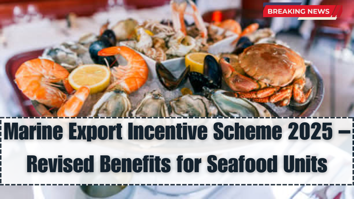 Marine Export Incentive Scheme 2025 – Revised Benefits for Seafood Units